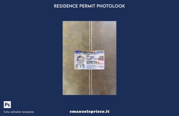 stile verificato Modello di permesso di soggiorno finlandese versione photolook 